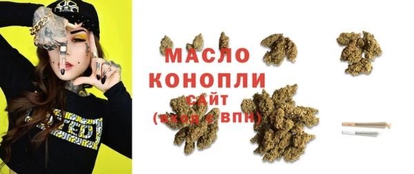 дживик Каменка