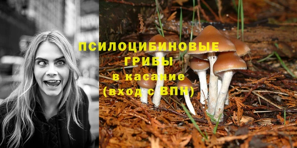 кокс Иннополис