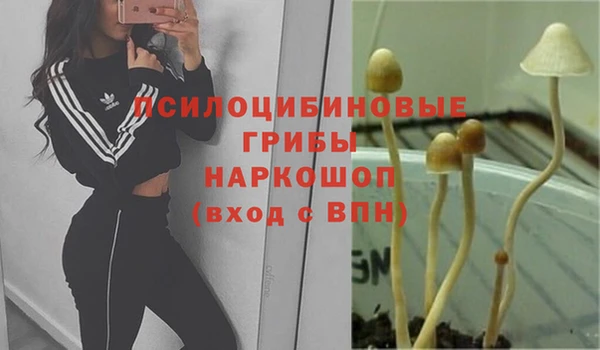 хмурый Каменск-Шахтинский