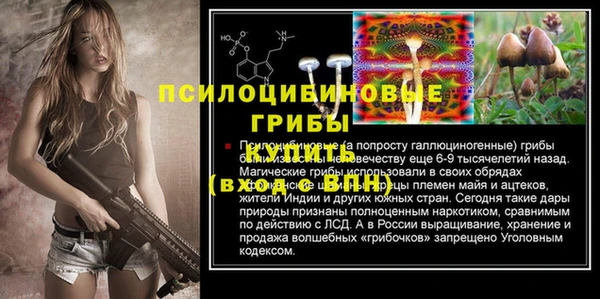 стаф Инсар