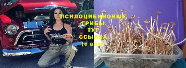 героин Инта