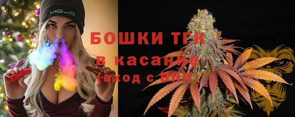 дживик Каменка