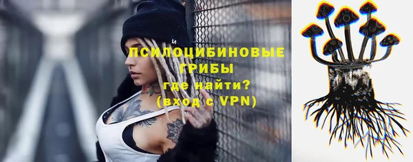 стаф Инсар