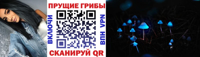 где можно купить   Кедровый  omg рабочий сайт  darknet какой сайт  Псилоцибиновые грибы Magic Shrooms 